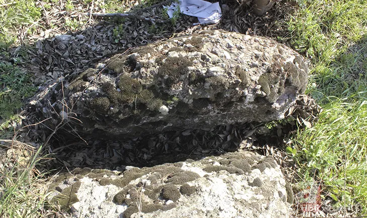 Çocuğu olmayanların ilginç geleneği! Kaya etrafında 3 tur atıp böcek yutuyorlar 4