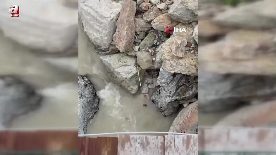 Tağar Çayı’nda su samurları görüntülendi