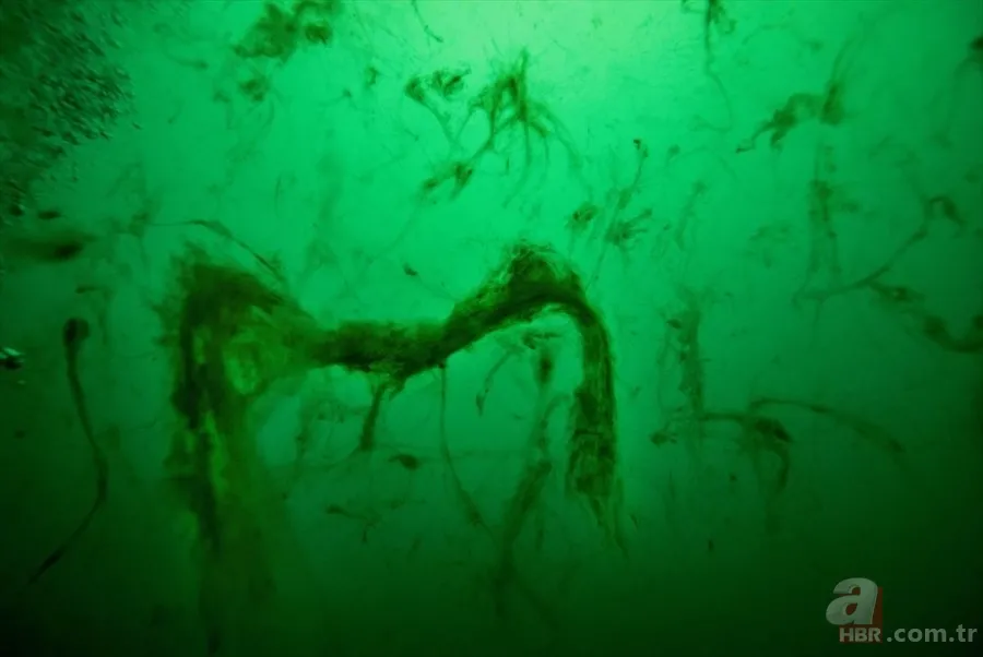 Deniz salyası ABD basınında: Marmara ölüyor! Çevre profesöründen kritik uyarı geldi 16