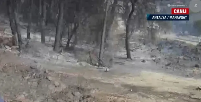 antalya-manavgatta-orman-yangini-a-haber-yangin-bolgesinde-1627478713577.jpg Antalya Manavgat'ta orman yangını! A Haber yangın bölgesinde - 1