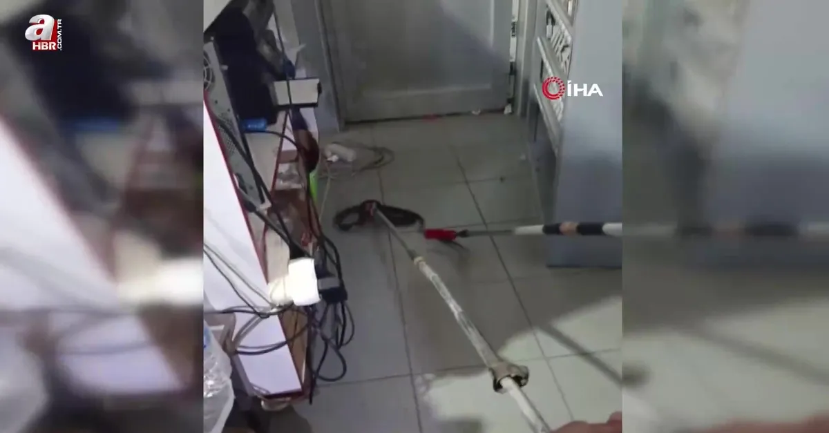 Markete giren yılan itfaiye erleri tarafından yakalandı