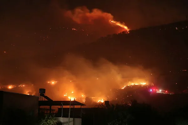 Son dakika: Tarım ve Orman Bakanı Bekir Pakdemirli'den Hatay'daki yangın hakkında flaş açıklama - 3