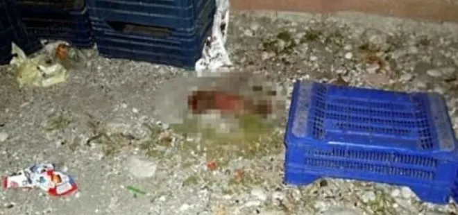 Antalya’da 7 yıl önce köpeklerin parçaladığı minik bebeği annesi sazlık alana atmış