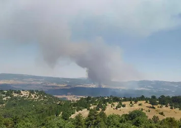 Bir orman yangını da Eskişehir'de! Çok sayıda ekip sevk edildi