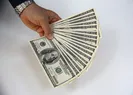 Dolar, 9 ayın en düşüğünde