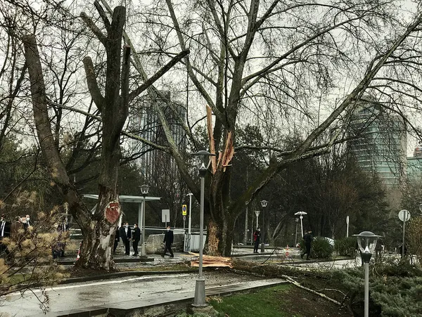 Halk TV sunucusu Ayşenur Arslan TBMM’nin bahçesine düşen yıldırımı Başkan Erdoğan’a bağladı