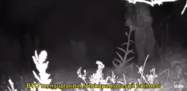 Şırnak ve Diyarbakır’da PKK’ya darbe! Kırmızı kategorideki terörist öldürüldü