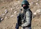 Gri kategorideki terörist öldürüldü