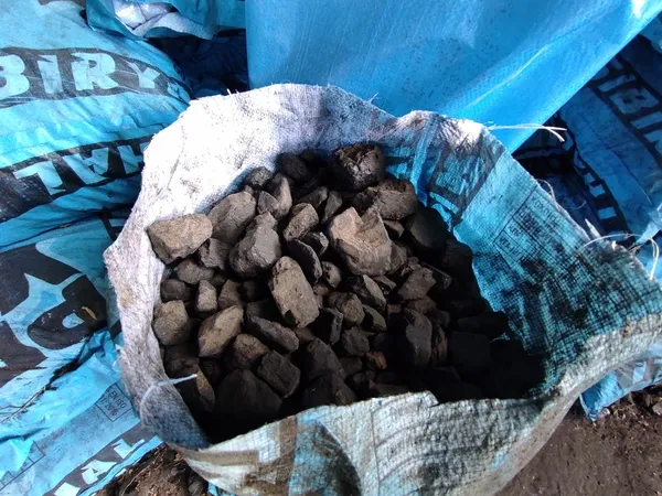 rusyanin-dogal-gazi-kismasiyla-gaz-sikintisi-ceken-avrupa-turkiyeden-komur-istiyor-1666338943837.jpg Rusya’nın doğal gazı kısmasıyla gaz sıkıntısı çeken Avrupa Türkiye’den kömür istiyor - 2