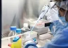 Kabusun yeni adı: Mu varyantı!