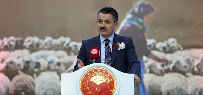 Tarım ve Orman Bakanı Bekir Pakdemirli’den Kıvırcık ve Karacabey merinosu açıklaması