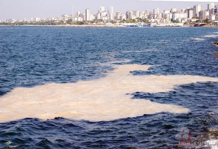 Marmara’da ne kadar müsilaj temizlendi? Çalışmalardan yeni görüntüler paylaşıldı