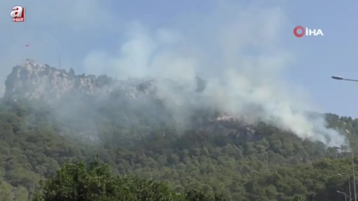 Kemer'de ormanlık alanda çıkan yangın büyümeden kontrol altına alındı