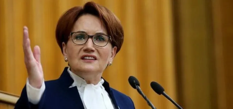 Tarım ve Orman Bakanlığından Meral Akşener'e flaş Gelibolu yanıtı
