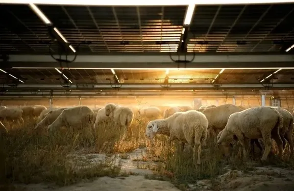 Kalyon Holding’ten dev projeler! Yenilenebilir enerji konusunda dünyaya örnek oldu