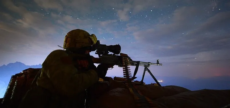 Şırnak'ta 2 terörist etkisiz hale getirildi