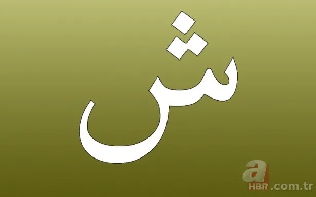 Kur'an-ı Kerim'deki harflerin sırlarını biliyor musunuz? İşte harflerin manaları 14