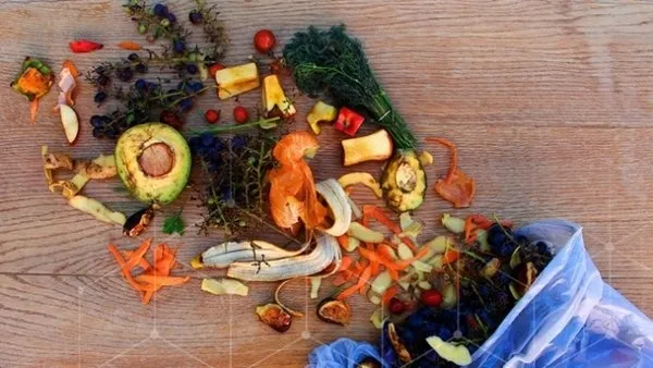 İspanya’dan gıda israfı yasası! Yasaya uymayanlara 500 bin euroya kadar ceza verilecek