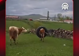 LASTİĞE TAKILDI