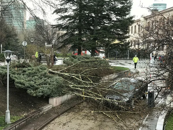 Halk TV sunucusu Ayşenur Arslan TBMM’nin bahçesine düşen yıldırımı Başkan Erdoğan’a bağladı