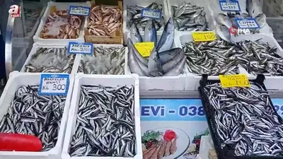 Tezgahta en ucuzu Çinekop balığı!