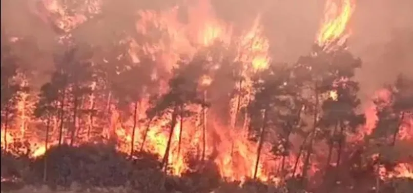 Valilikler peş peşe duyurdu! İstanbul, Balıkesir, Çanakkale, Gaziantep, İzmir, Aydın, Niğde, Kocaeli ve KKTC'de ormanlara girişler yasaklandı