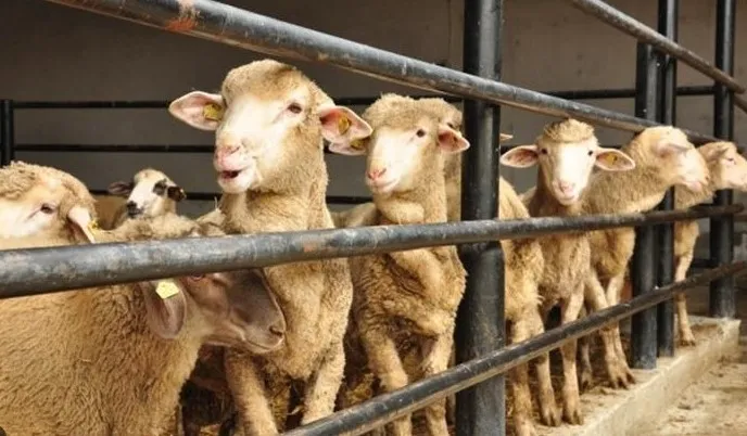 Bakan Yumaklı’dan orman yangını uyarısı: Unsura meydan vermeyin