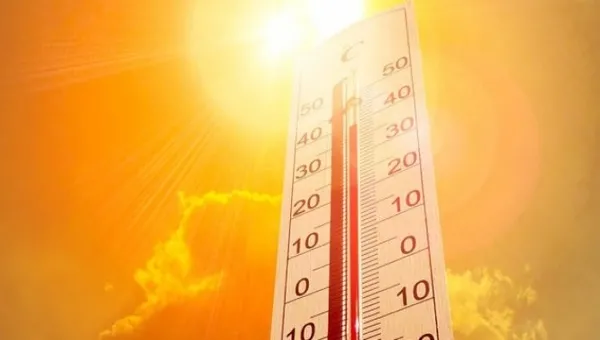 Kanada’da kırmızı alarm! Aşırı sıcaklardan ölenleri sayısı 719'a çıktı - 3
