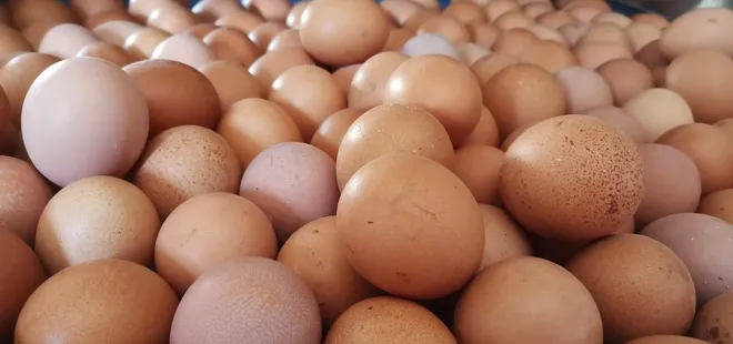 Pandemide yumurtaya talep yüzde 100 arttı