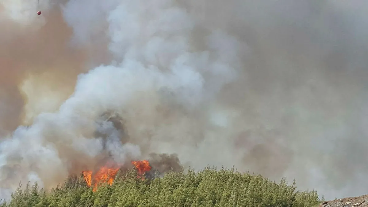 Antalya'da orman yangını
