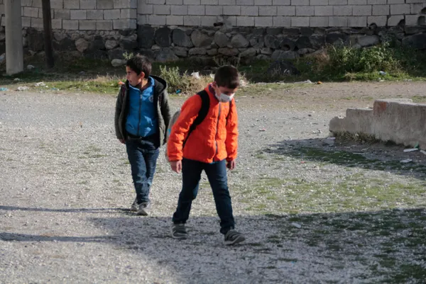 Bitlis halkı tedirgin! Kuduz vakasının yaşandığı bölgede başıboş köpekler tehlike saçıyor - 7