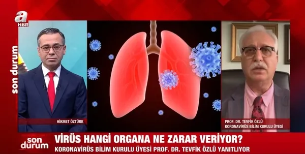 Prof. Dr. Tevfik Özlü'den A Haber canlı yayınında açıkladı: İstanbul Ankara İzmir vaka sayılarında... - 4
