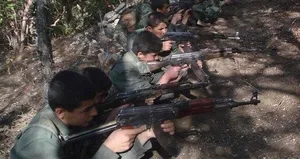 YPG/PKK iki kardeşi kaçırdı