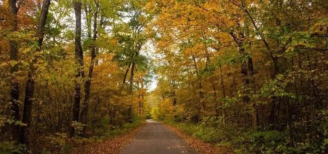 "Belgrad Ormanı imara açılıyor" iddiasına Bakan Yumaklı'dan yalanlama