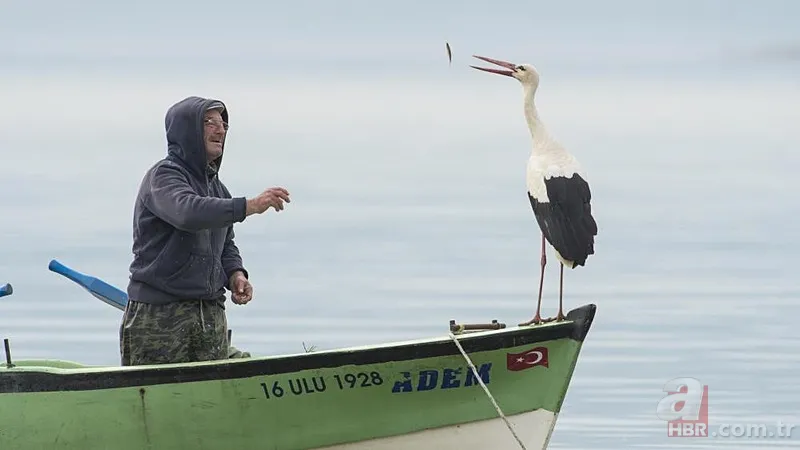 Yaren Leylek geldi mi? 2025'te Yaren Leylek ve balıkçı Adem Yılmaz buluştu mu? 4