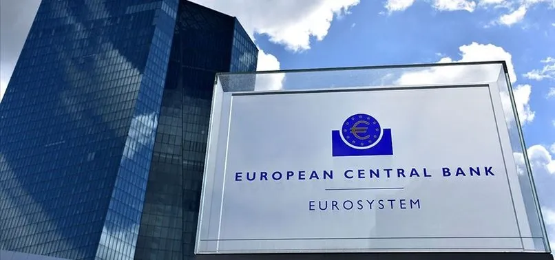Avrupa Merkez Bankası'ndan uyarı