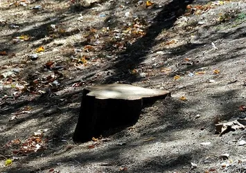 Abbasağa Parkı'nı kaderine terk ettiler! CHP'li Beşiktaş Belediyesinden skandal savunma