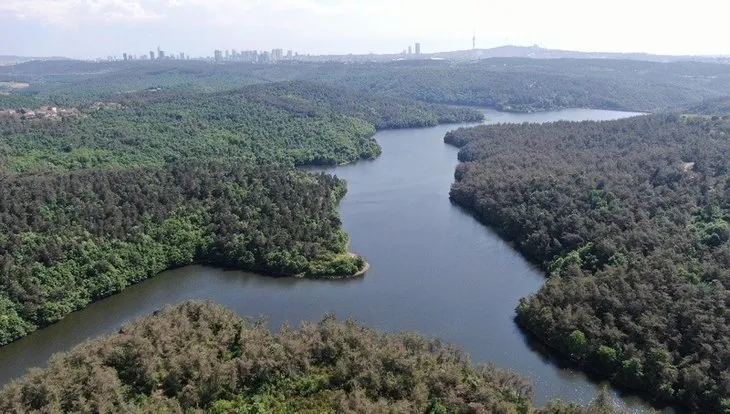 Elmalı Barajı doluluk oranı | İstanbul’u sevindiren gelişme! Rekor doluluk oranı