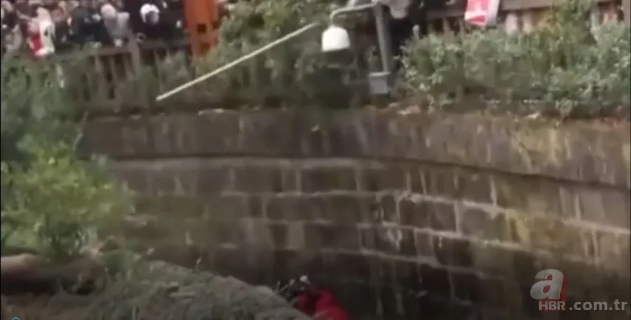 Aslanın kafesine köpek bıraktılar! Herkes olanları izledi... 18