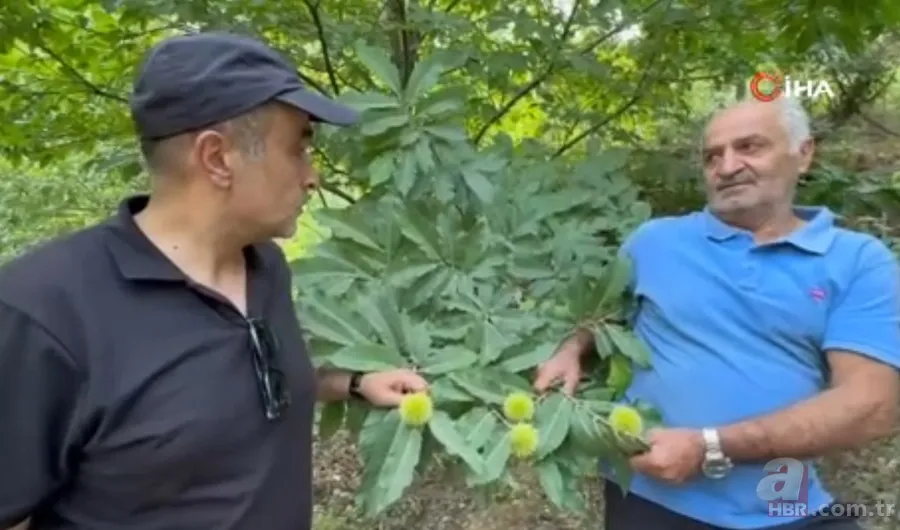 İnternetten gördü yapılamaz denileni yaptı! İlçede bir ilk: Hasat için geri sayım başladı 2