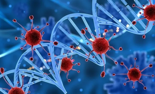 Türk bilim insanları kanserle savaşacak uyuyan hücrelerin şifrelerini keşfetti | Prof. Dr. Güneş Esendağlı’dan önemli açıklamalar