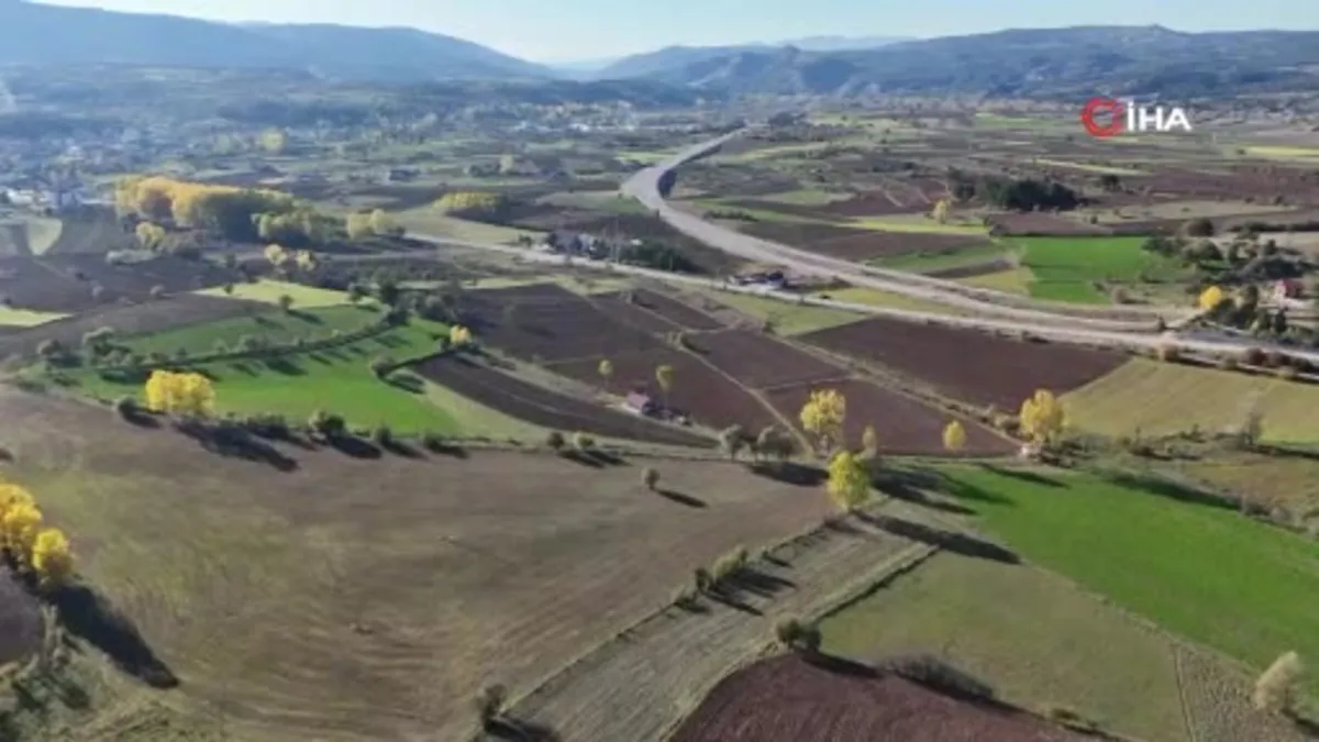 Kastamonu'da buğdayın atası 12 bin yıllık siyez toprakla buluştu
