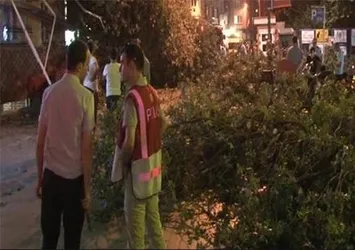 Kadıköy'de ağaç devrildi: 3 yaralı!