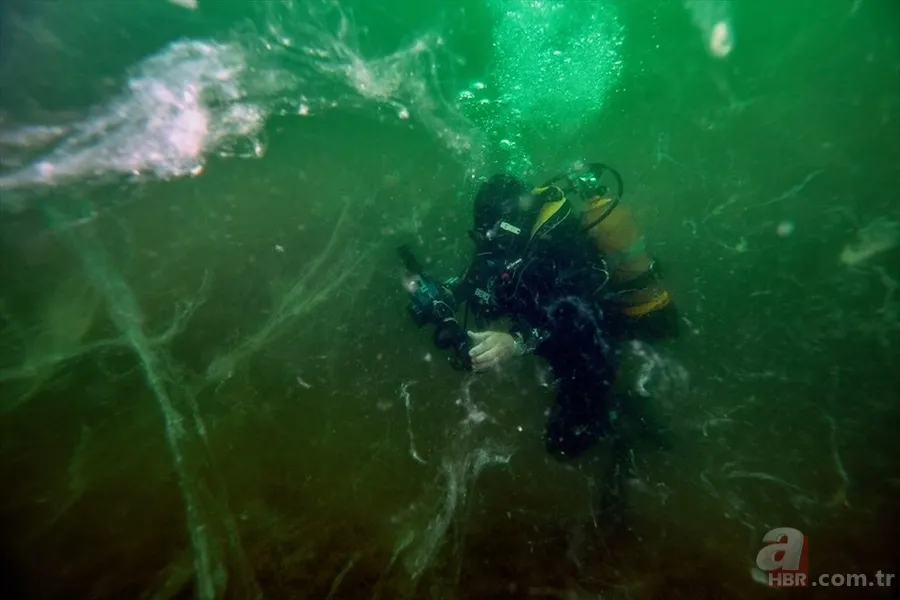 Deniz salyası ABD basınında: Marmara ölüyor! Çevre profesöründen kritik uyarı geldi 15