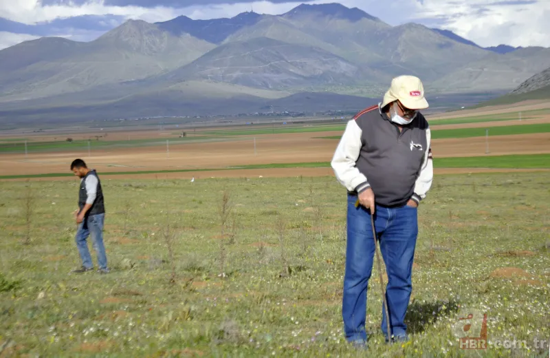 Karaman’da vatandaşlar kilosu 200 lirayı bulan domalan mantarını karış karış arıyor! 8