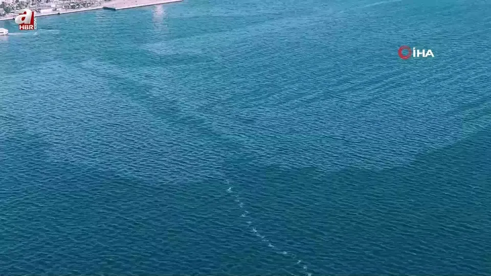 İzmir Körfezi’nde çevre kirliliği