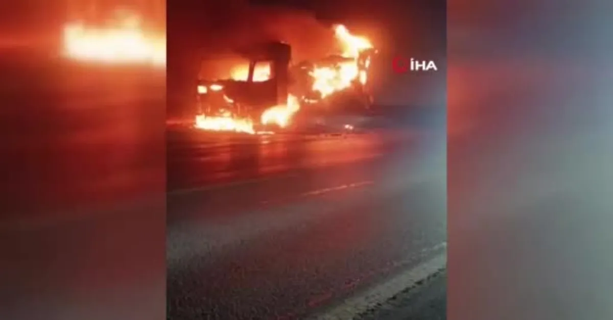 Avokado yüklü tır alev topuna döndü