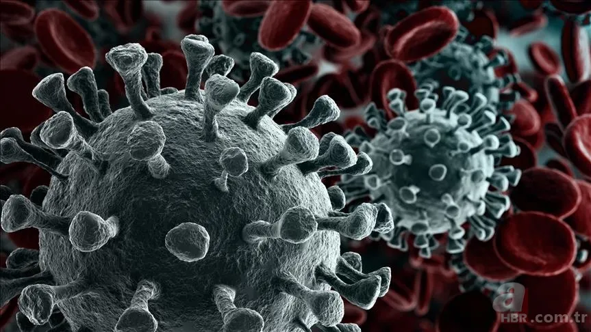 Emniyet kemeri hayatını kurtardı! Kanseri tesadüfen öğrendi 7