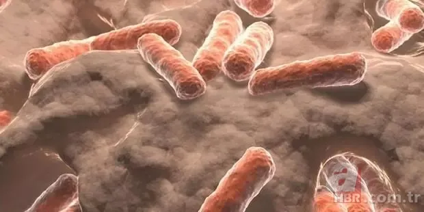 Sabah bir bardak suya tükürün! Tükürüğünüz suyun yüzeyinde kalmıyorsa… 13