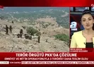 Son dakika: Emniyet ve MİTten ortak operasyon |Video